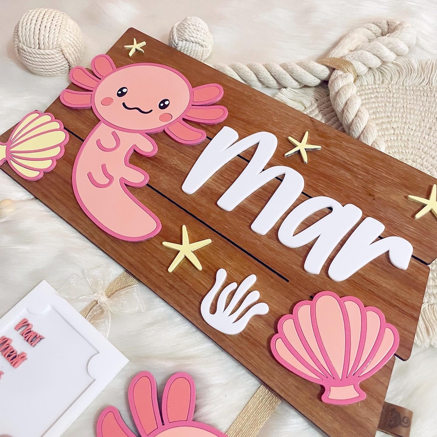 Ajolotito Mexicano Conchas